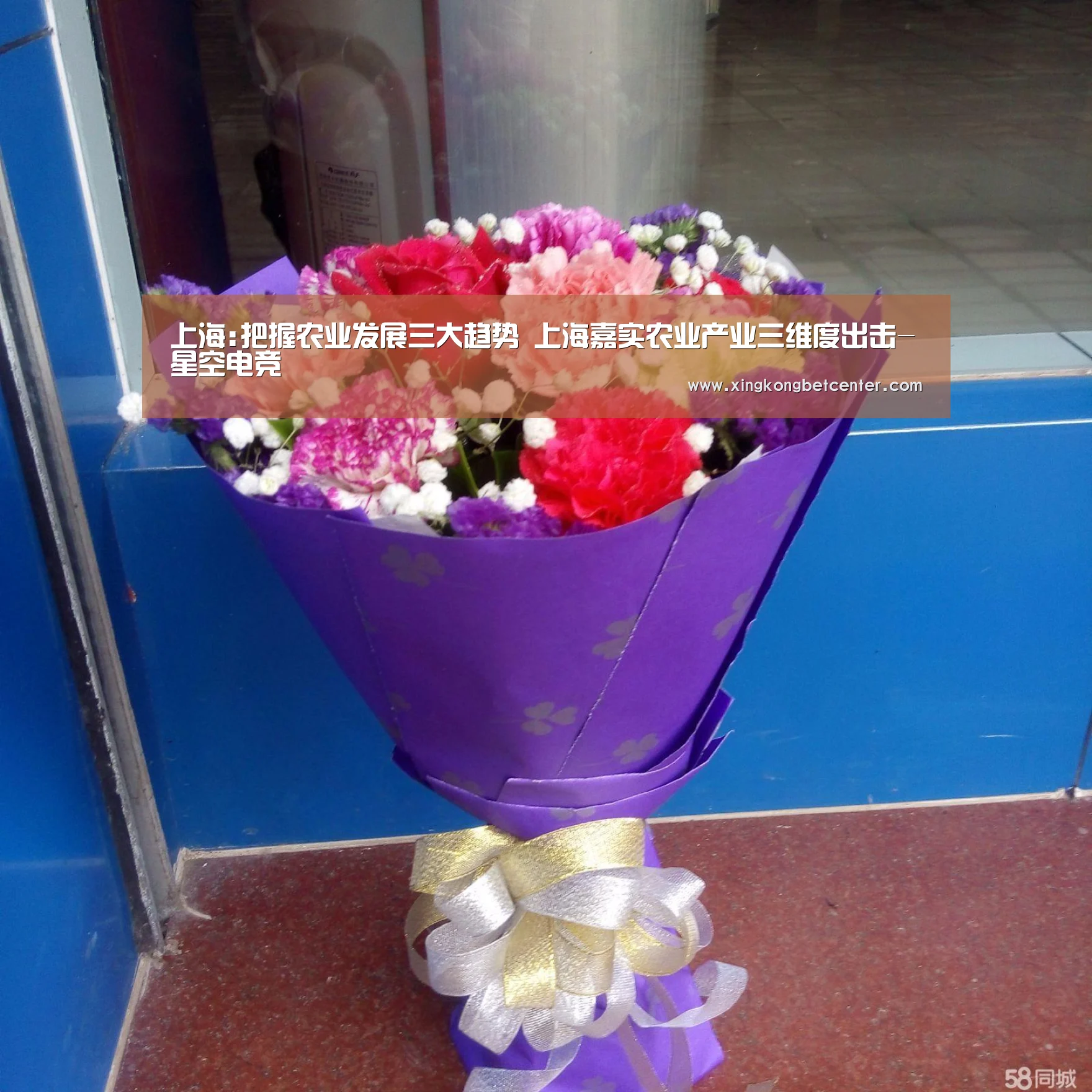 上海:把握农业发展三大趋势 上海嘉实农业产业三维度出击-星空电竞(图1) 星空直播